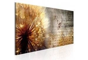 Obraz - Złoty dmuchawiec