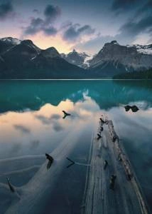 Fototapeta ścienna Burning Emerald SHX4-012