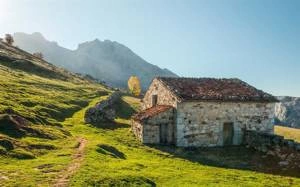 Fototapeta ścienna Picos de Europe Alm SHX9-068