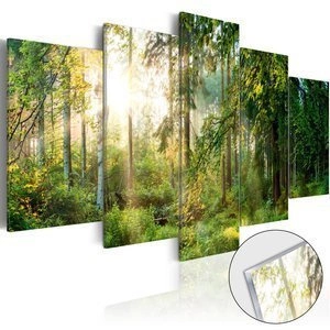 Obraz na szkle akrylowym - Zielony azyl [Glass]