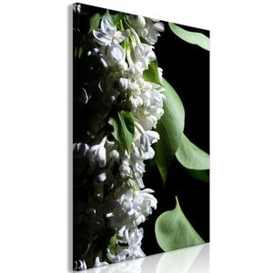 Obraz - Bzowy detal (1-częściowy) pionowy