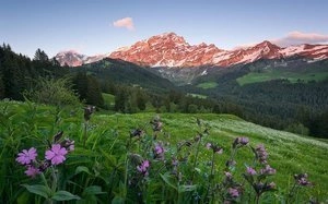 Fototapeta ścienna Picturesque Switzerland SHX9-069