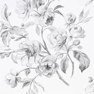 Tapeta ścienna Designers Guild P540/01 Flowers volume I