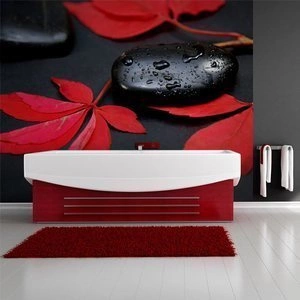 Fototapeta - Intensywność czerwieni