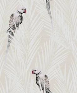 Tapeta ścienna Khroma CAB702 Cabinet of Curiosities