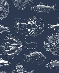 Tapeta ścienna Contour 112652 OASIS