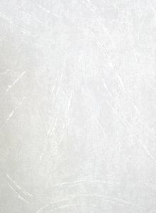 Biała tapeta winylowa metaliczny srebrny wzór