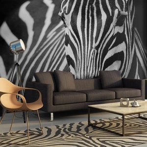 Fototapeta - Biała w czarne paski