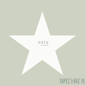 Tapeta ścienna Esta Home 138948 Regatta Crew - Surf Edition