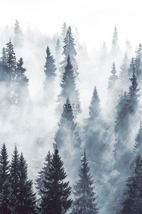 Fototapeta ścienna Esta Home 158909 Scandi Cool