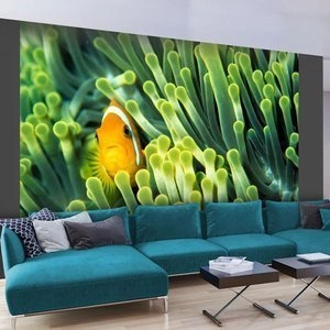 Fototapeta - Anemonefish