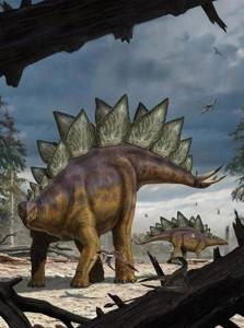Fototapeta ścienna Stegosaurus XXL2-530