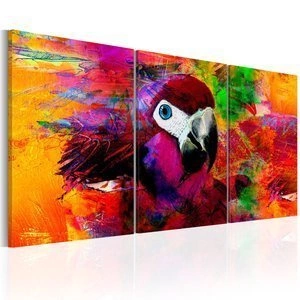 Obraz - Dżungla kolorów