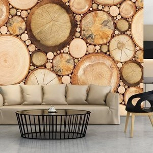 Fototapeta - Słoje drewna