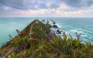 Fototapeta ścienna The Nuggets SHX9-127