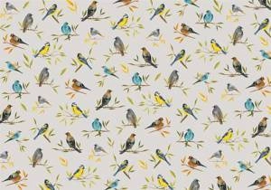 Fototapeta ścienna kolorowe ptaki na gałęzi 22