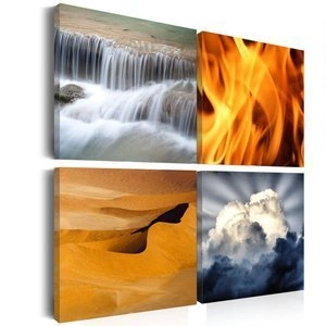 Obraz - Różnorodność przyrody