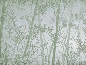 Fototapeta ścienna Bambus w odcieniu zielonym V105-3