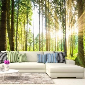 Fototapeta - Leśne opowieści