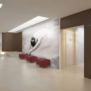 Fototapeta - fotografia: baletnica