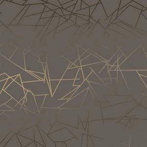Tapeta ścienna Angles bronze / cocoa brown Erica Wakerly