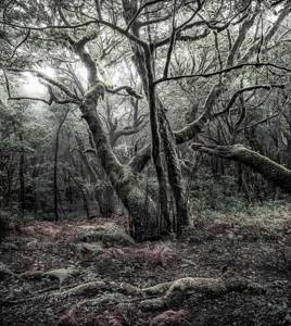 Fototapeta ścienna Das Model SHX5-018