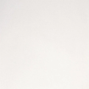 Tapeta ścienna Decor Maison 2975-1 SILVA