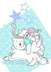 Obraz ścienny Winnie Pooh Beary Sleepy WB086