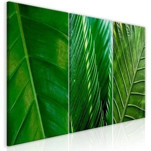 Obraz - Liście (kolekcja)