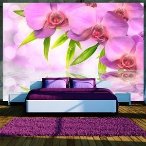 Fototapeta - Orchidee w kolorze lila
