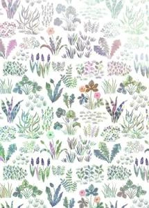 Fototapeta ścienna Flower Farm IAX4-0006