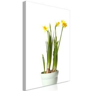 Obraz - Narcyz (1-częściowy) pionowy