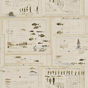 Tapeta ścienna Ralph Lauren PRL5025/02 Signature Islesboro