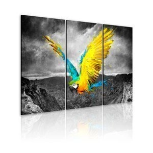 Obraz - Rajski ptak