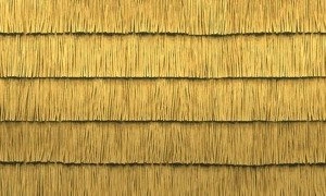 Tapeta ścienna Arte 34661 Insolence