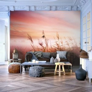 Fototapeta - Łąka o świcie