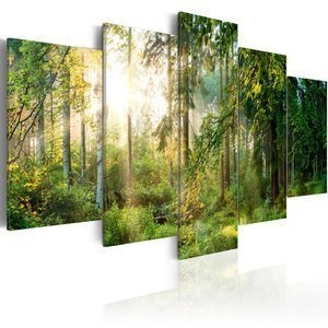 Obraz - Zielony azyl