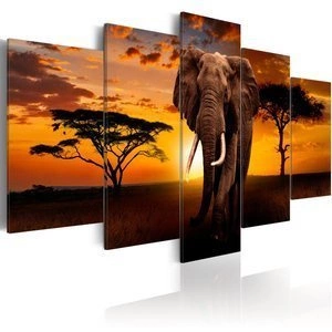 Obraz - Król sawanny