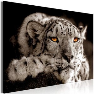 Obraz - Magiczne oczy (1-częściowy) szeroki