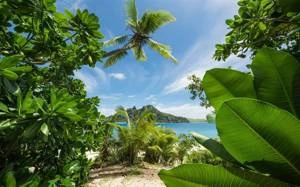 Fototapeta ścienna Cast Away Jungle SHX9-106