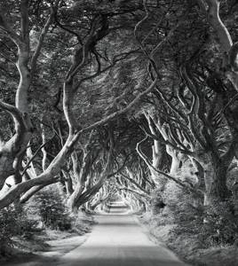 Fototapeta ścienna Forevenue SHX5-033