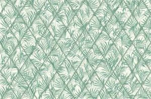 Fototapeta ścienna w tropikalny wzór palmowe liscie V115-1