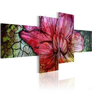 Obraz - Tęczowy kwiat