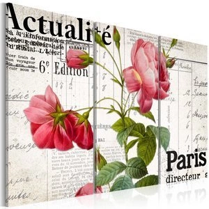 Obraz - Paris directeur