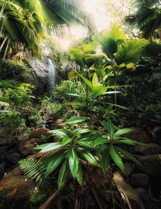 Fototapeta Spirit X4-527