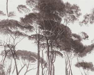 Tapeta ścienna AS Creation 37651-1 History of art