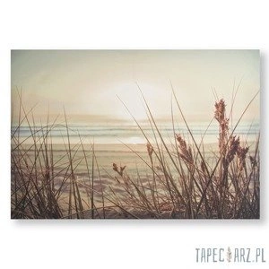 Obraz Piaszczysta plaża - zachód słońca 105889