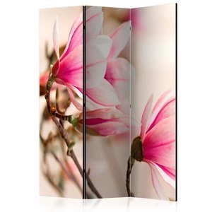 Parawan 3-częściowy - Branch of magnolia tree [Room Dividers]