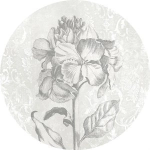 Fototapeta ścienna Barock Beauty D1-031