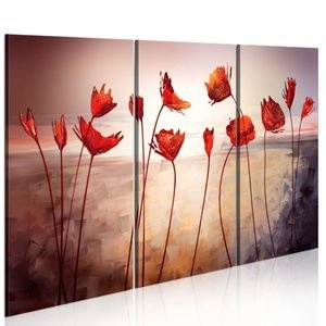 Obraz - Bright red poppies